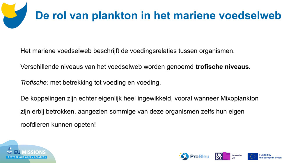 Het mariene voedselweb beschrijft de voedingsrelaties tussen organismen. 