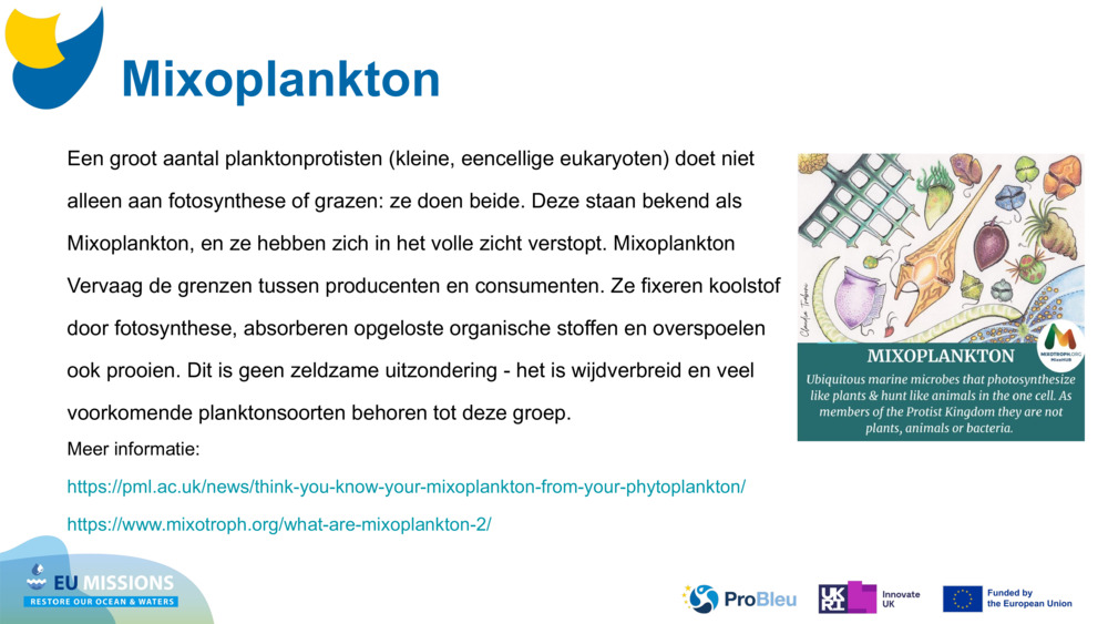 Mixoplankton