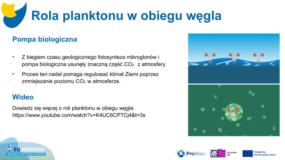 Pompa biologiczna