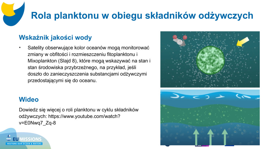 Wskaźnik jakości wody