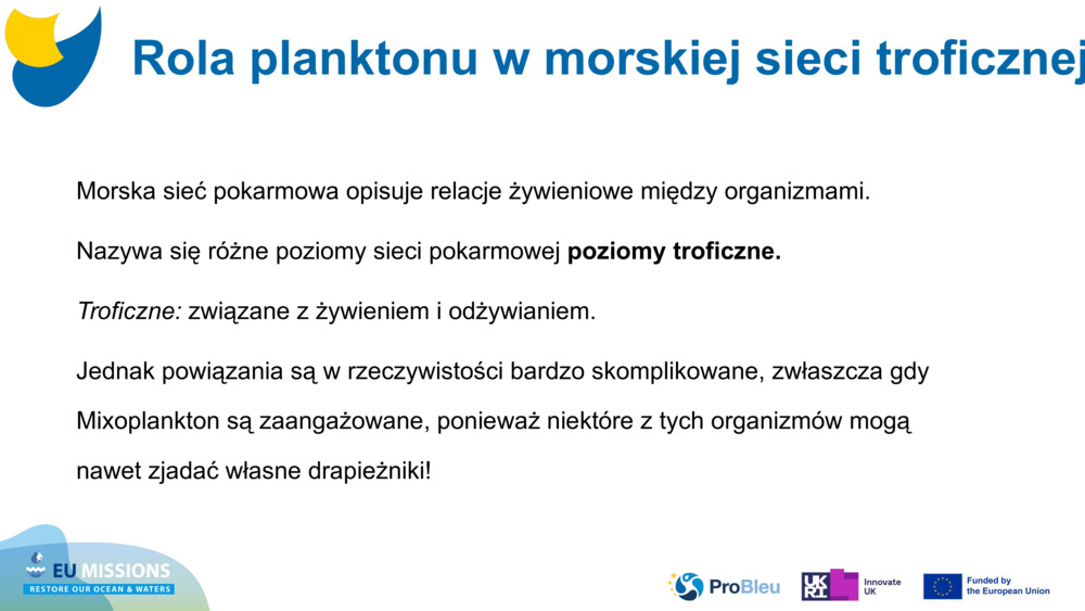 Morska sieć pokarmowa opisuje relacje żywieniowe między organizmami. 