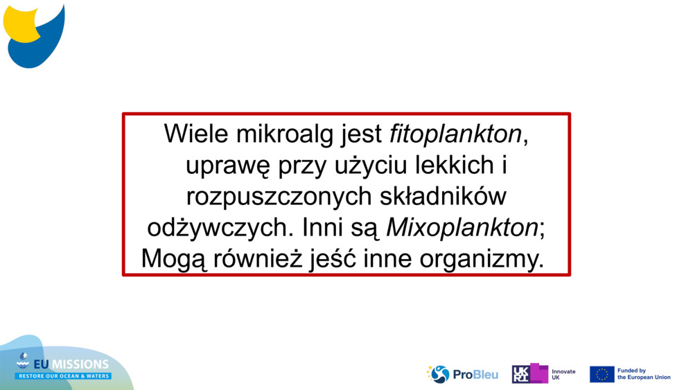 Wiele mikroalg jest 