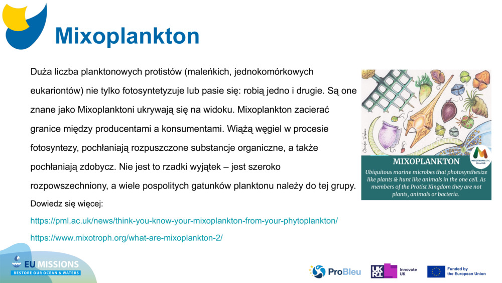 Mixoplankton