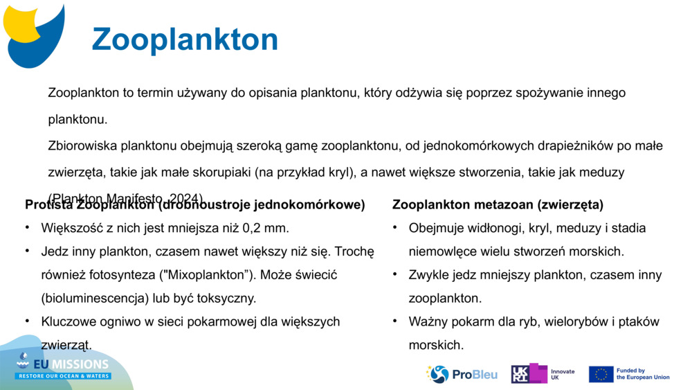 Zooplankton