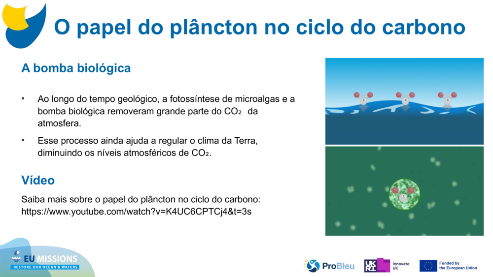 A bomba biológica