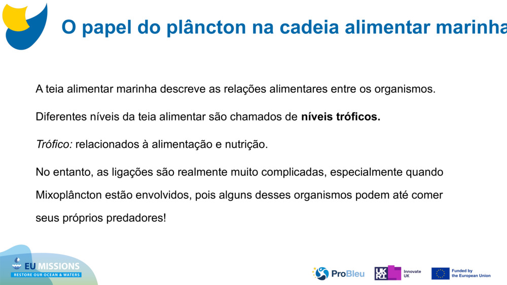 A teia alimentar marinha descreve as relações alimentares entre os organismos. 