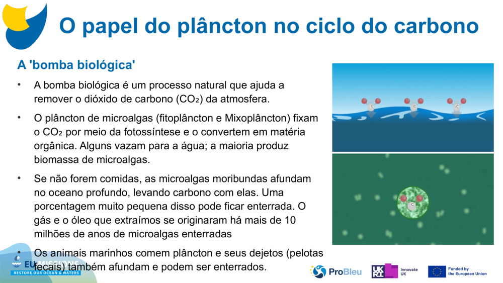 A 'bomba biológica'
