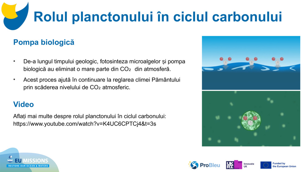 Pompa biologică