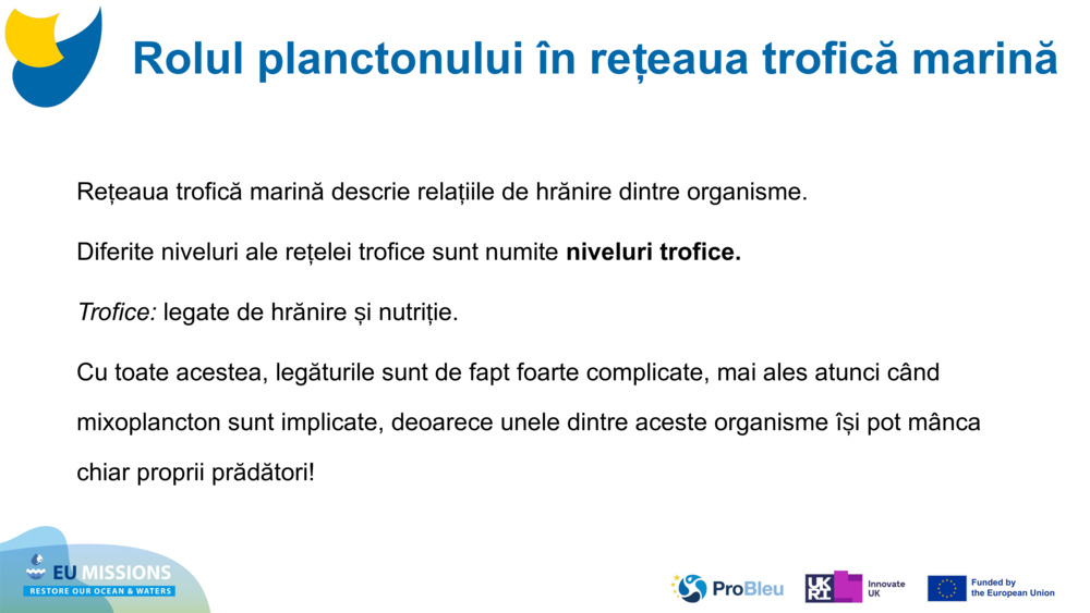 Rețeaua trofică marină descrie relațiile de hrănire dintre organisme. 