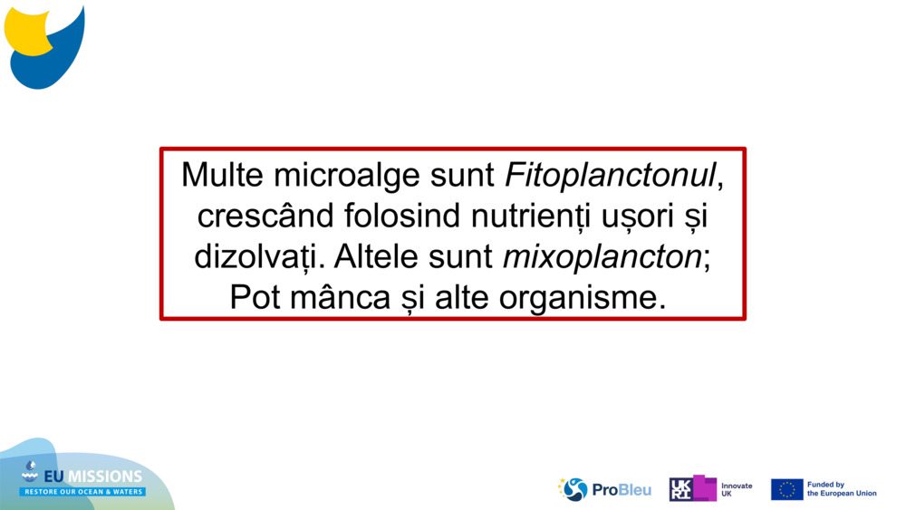 Multe microalge sunt 