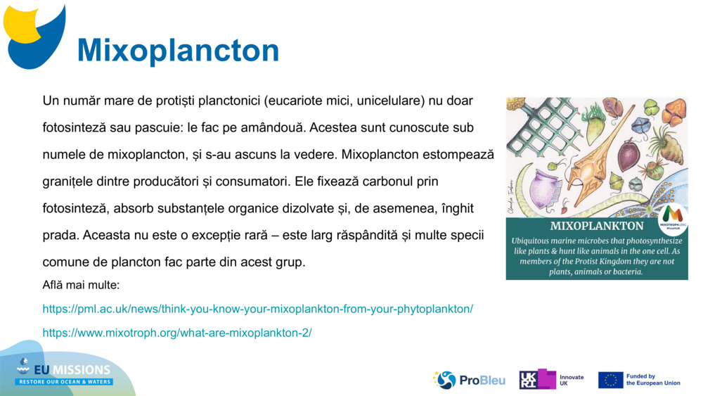 Mixoplancton