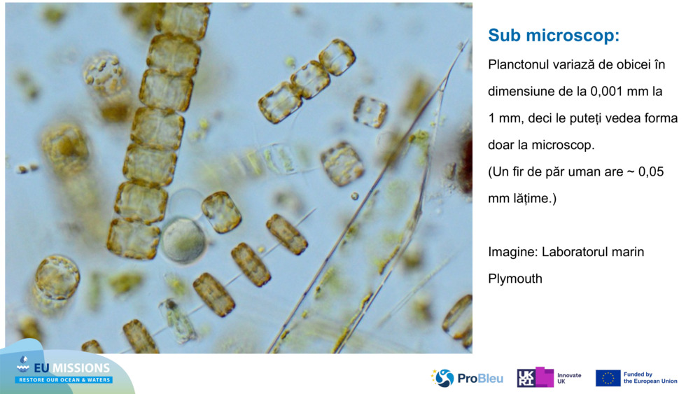 Sub microscop: 