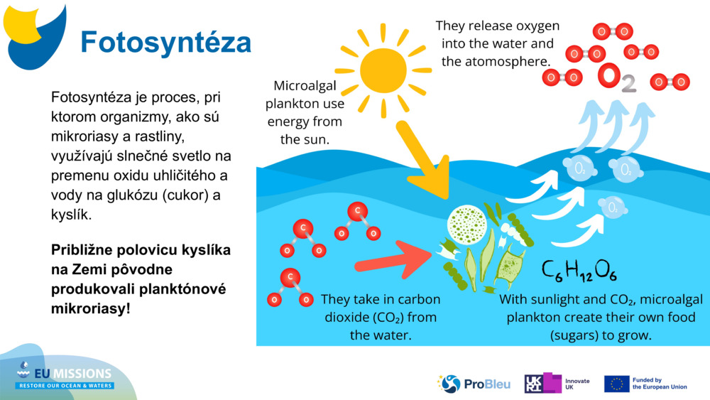 Fotosyntéza je proces, pri ktorom organizmy, ako sú mikroriasy a rastliny, využívajú slnečné svetlo na premenu oxidu uhličitého a vody na glukózu (cukor) a kyslík. 