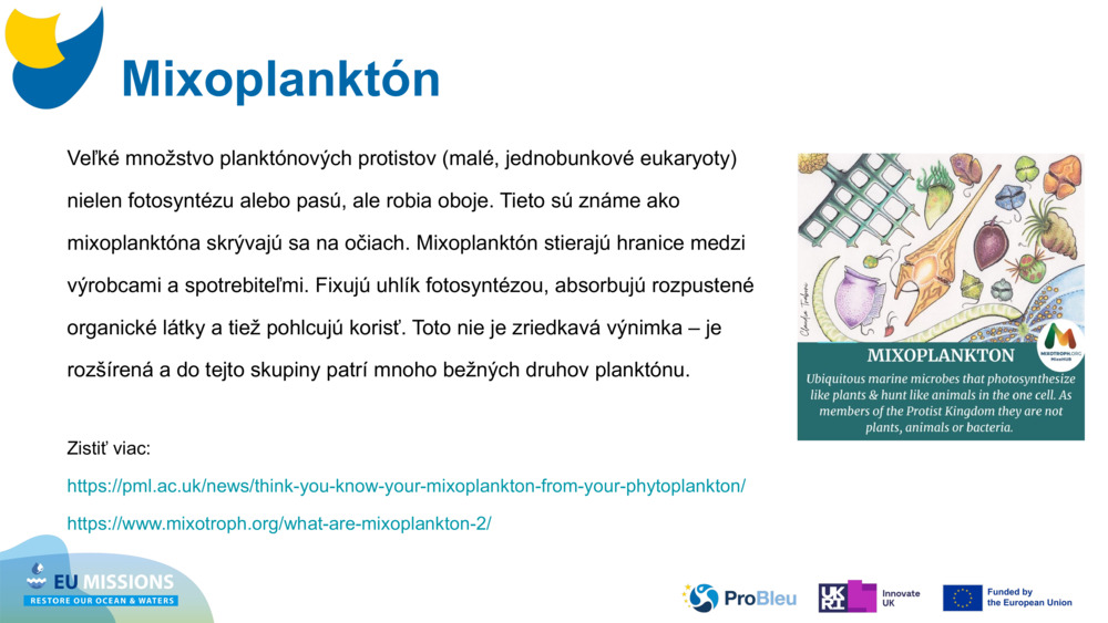 Mixoplanktón