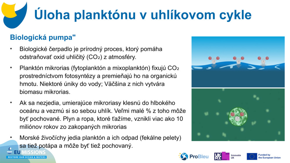 Biologická pumpa"