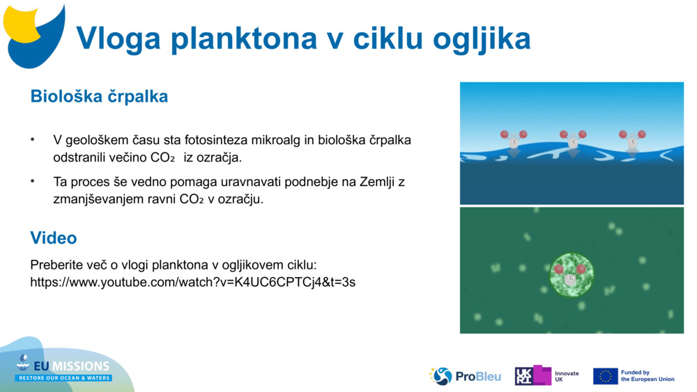 Biološka črpalka