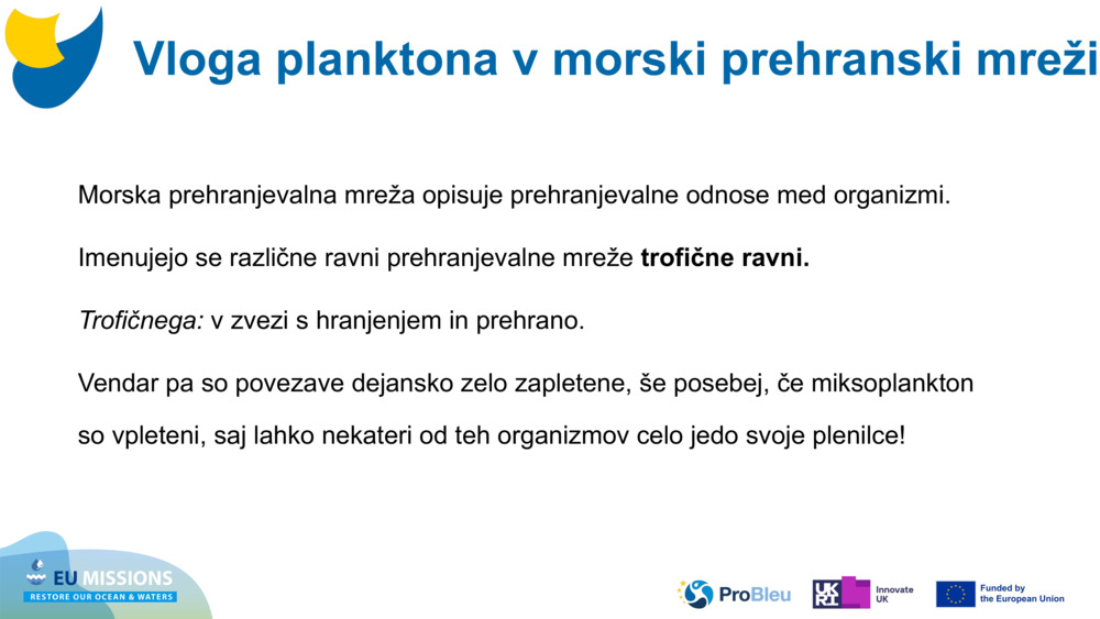 Morska prehranjevalna mreža opisuje prehranjevalne odnose med organizmi. 