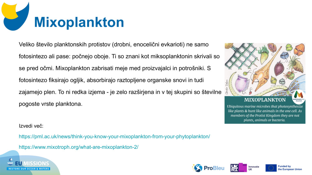 Mixoplankton