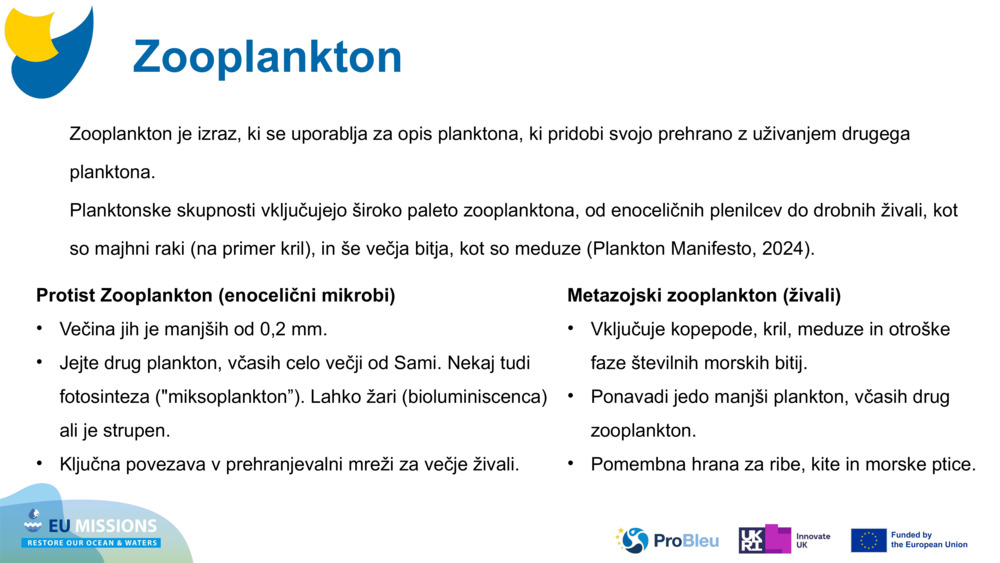 Zooplankton
