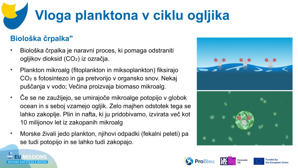 Biološka črpalka"