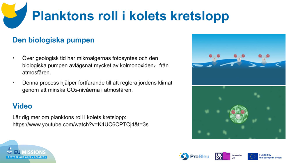 Den biologiska pumpen
