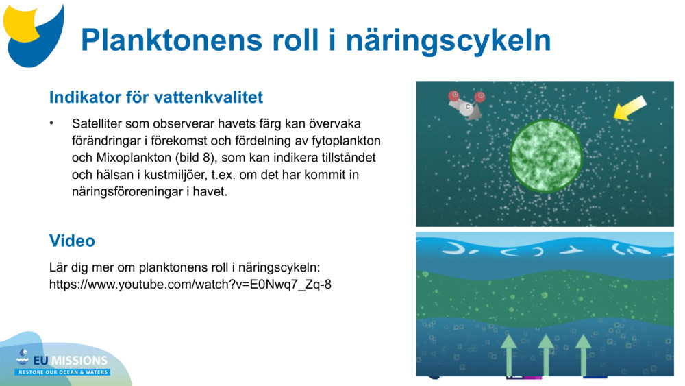 Indikator för vattenkvalitet