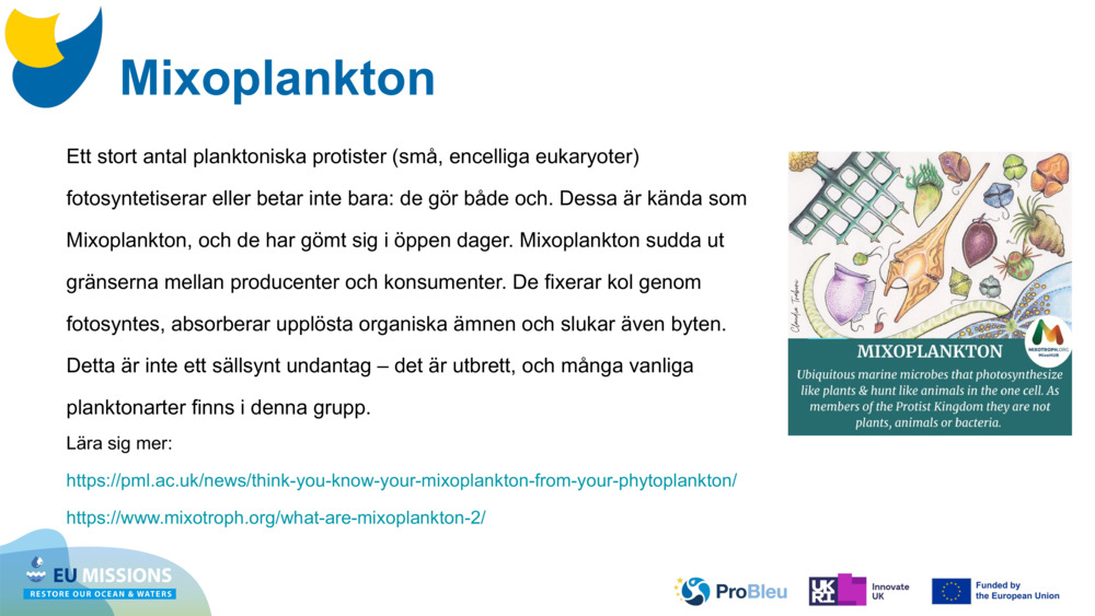 Mixoplankton