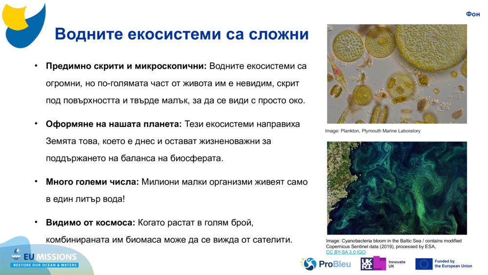 Водните екосистеми са сложни