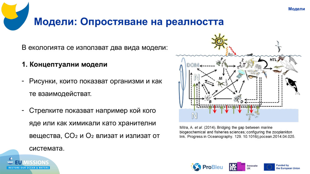 Модели: Опростяване на реалността