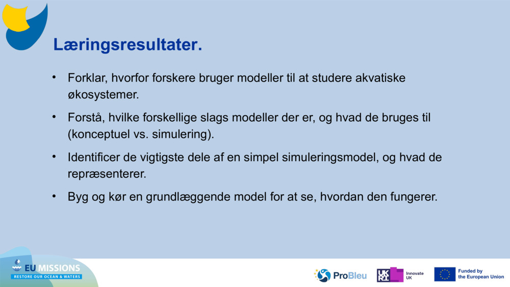 Læringsresultater