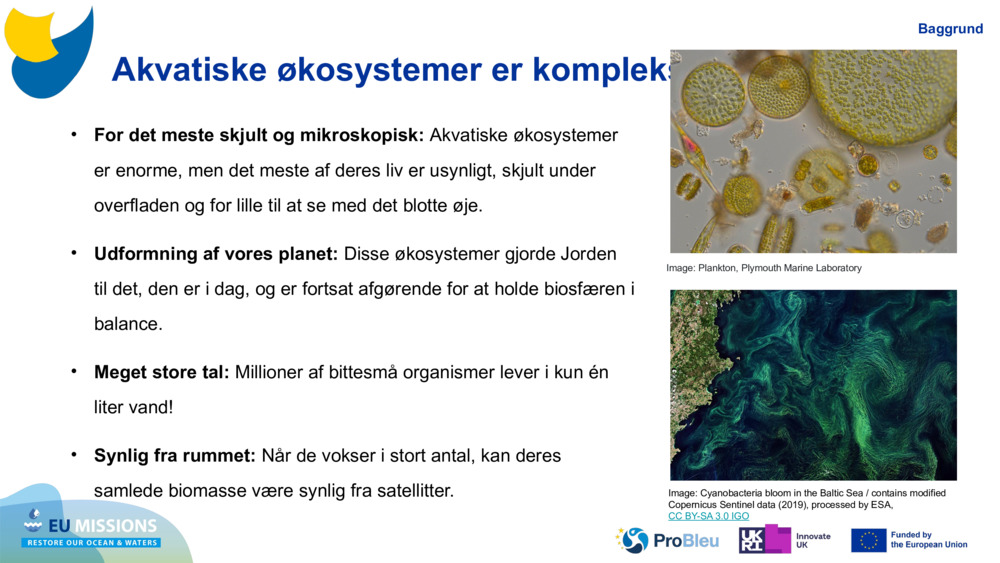Akvatiske økosystemer er komplekse