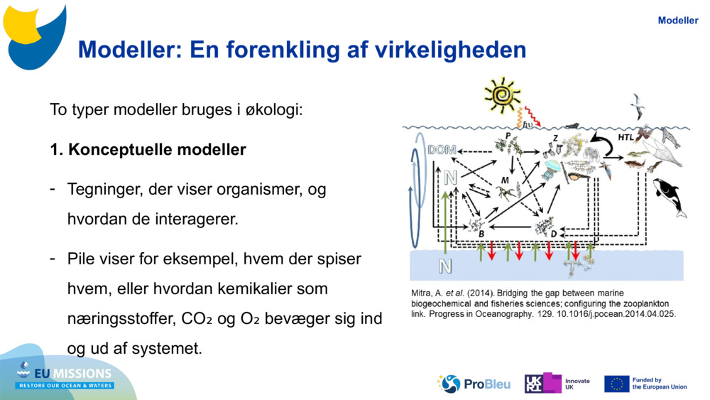 Modeller: En forenkling af virkeligheden