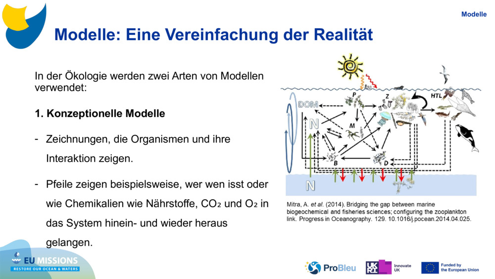 Modelle: Eine Vereinfachung der Realität