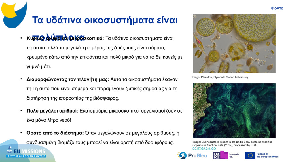 Τα υδάτινα οικοσυστήματα είναι πολύπλοκα