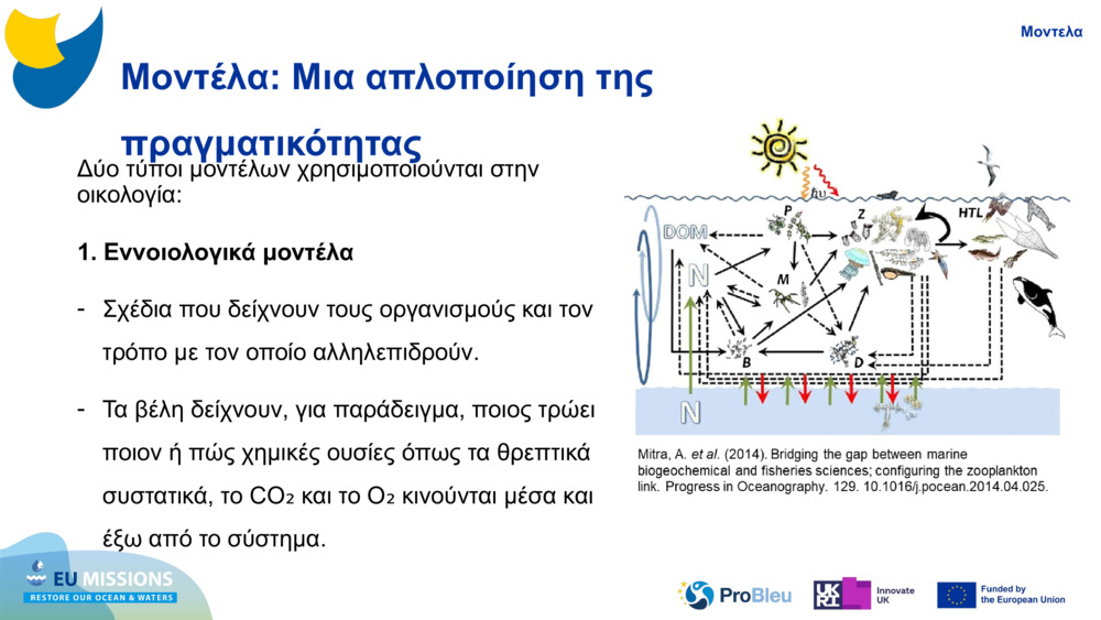 Μοντέλα: Μια απλοποίηση της πραγματικότητας