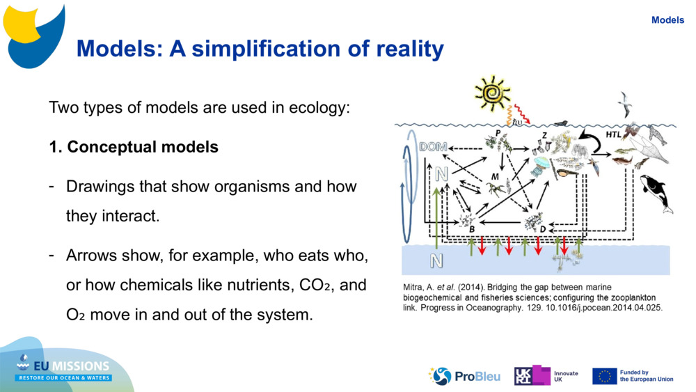 Models: A simplification of reality