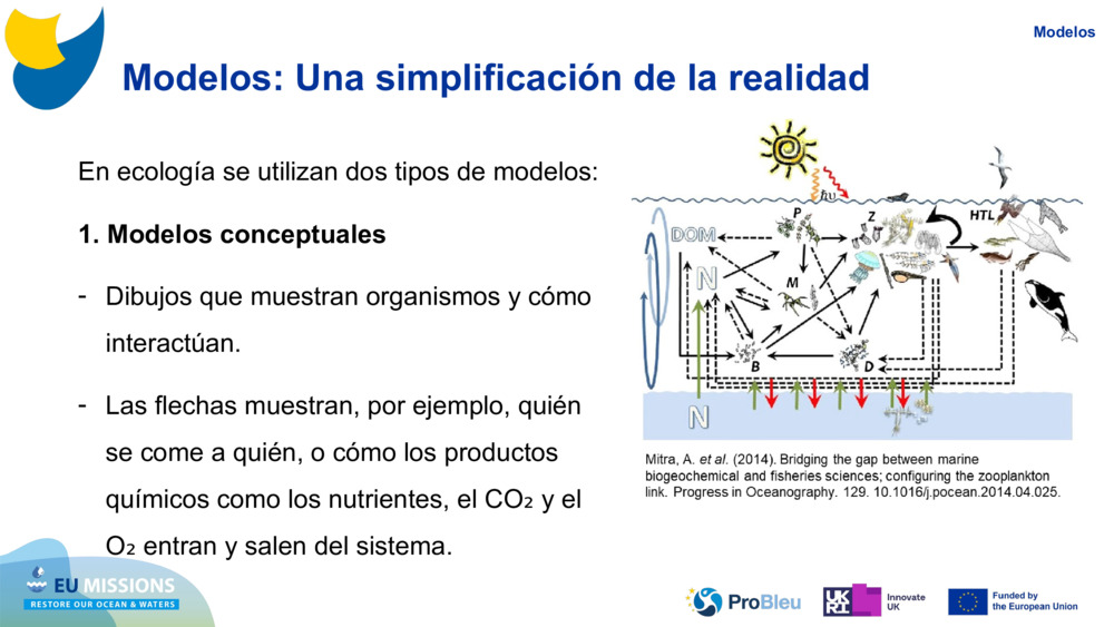 Modelos: Una simplificación de la realidad