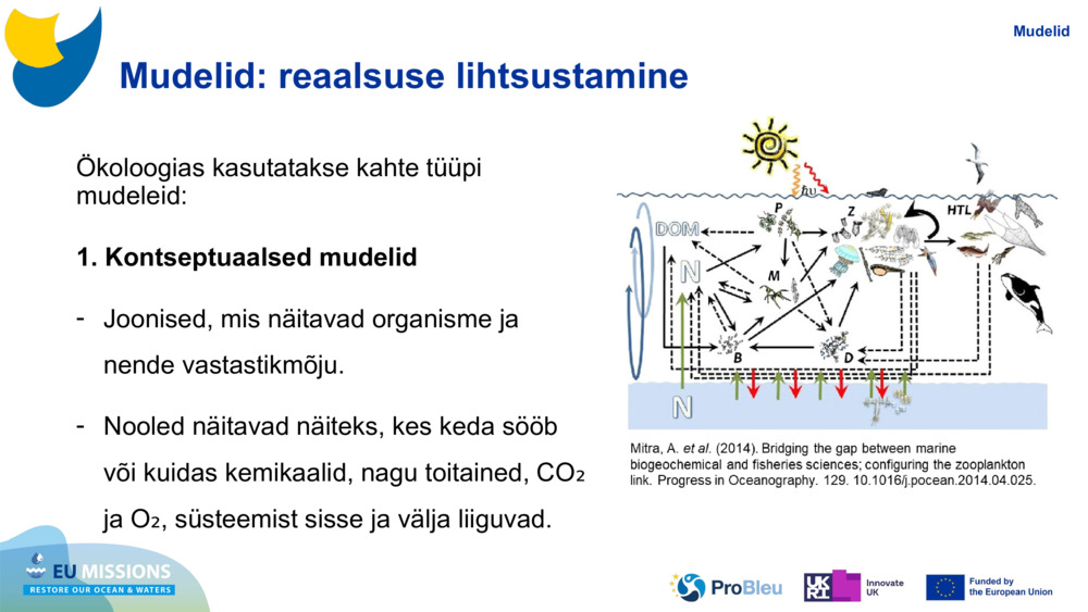 Mudelid: reaalsuse lihtsustamine