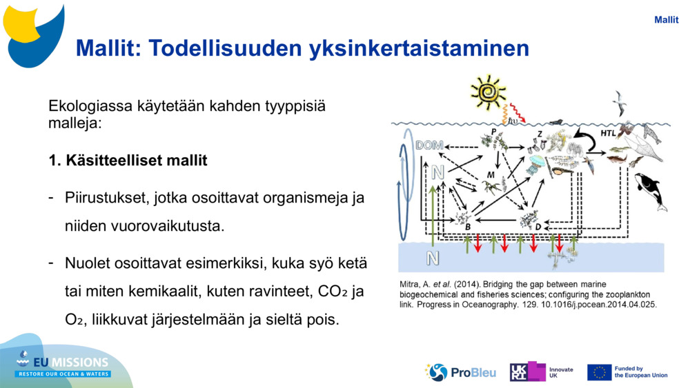 Mallit: Todellisuuden yksinkertaistaminen