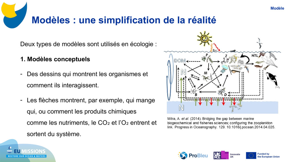 Modèles : une simplification de la réalité