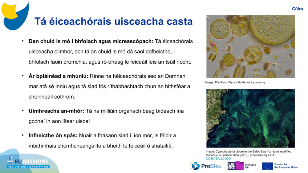 Tá éiceachórais uisceacha casta