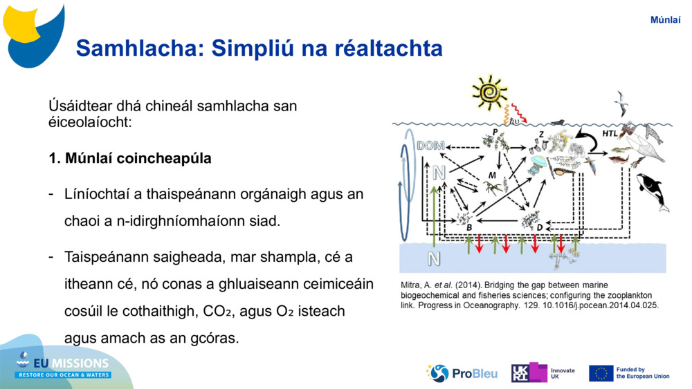 Samhlacha: Simpliú na réaltachta