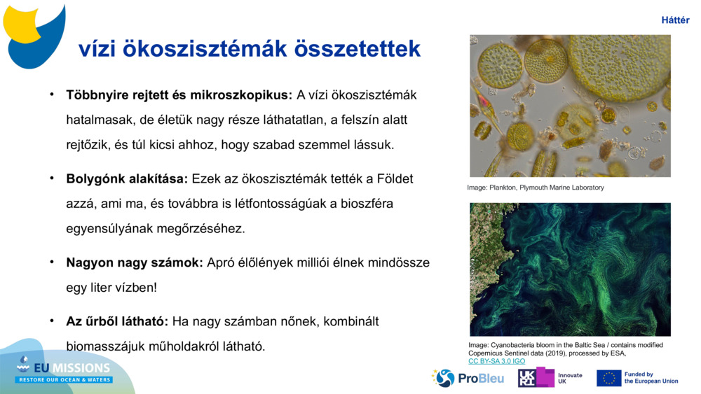 vízi ökoszisztémák összetettek