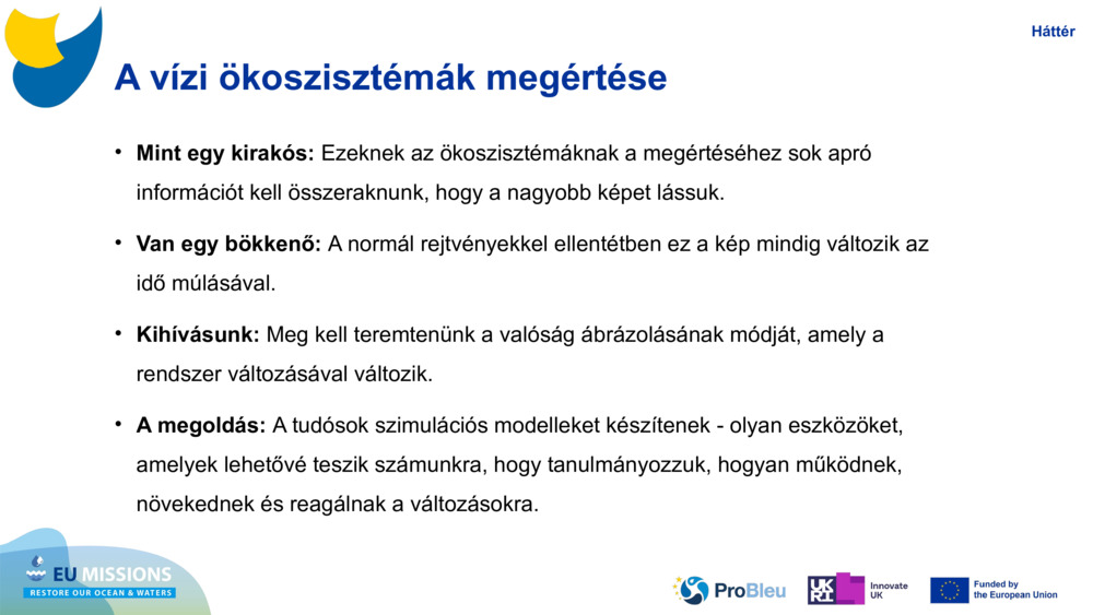 A vízi ökoszisztémák megértése