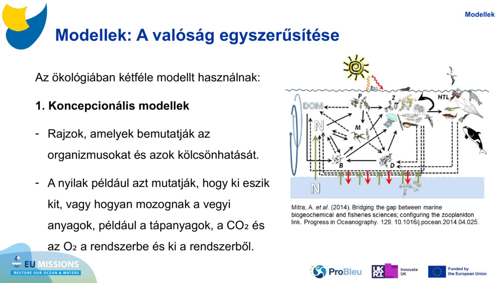Modellek: A valóság egyszerűsítése