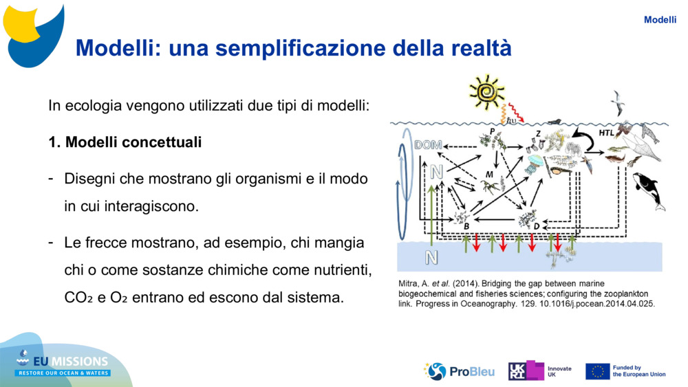 Modelli: una semplificazione della realtà