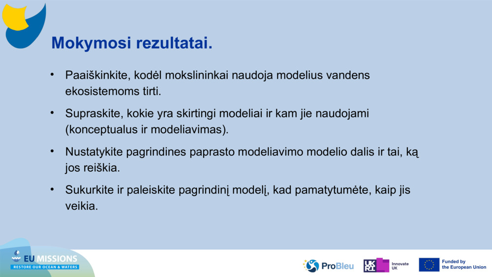 Mokymosi rezultatai