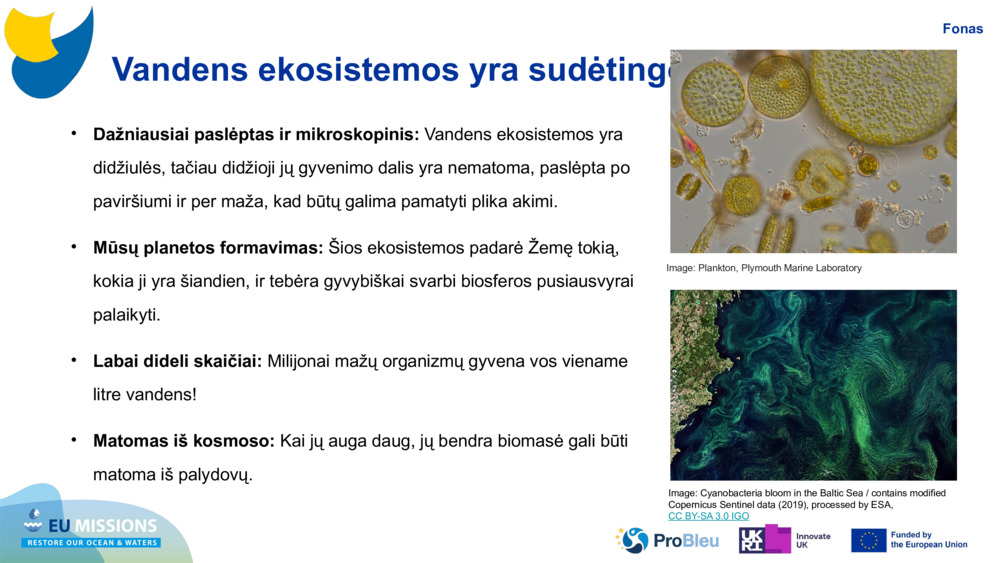 Vandens ekosistemos yra sudėtingos