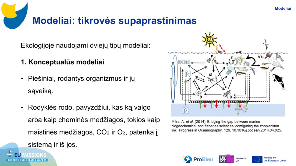 Modeliai: tikrovės supaprastinimas