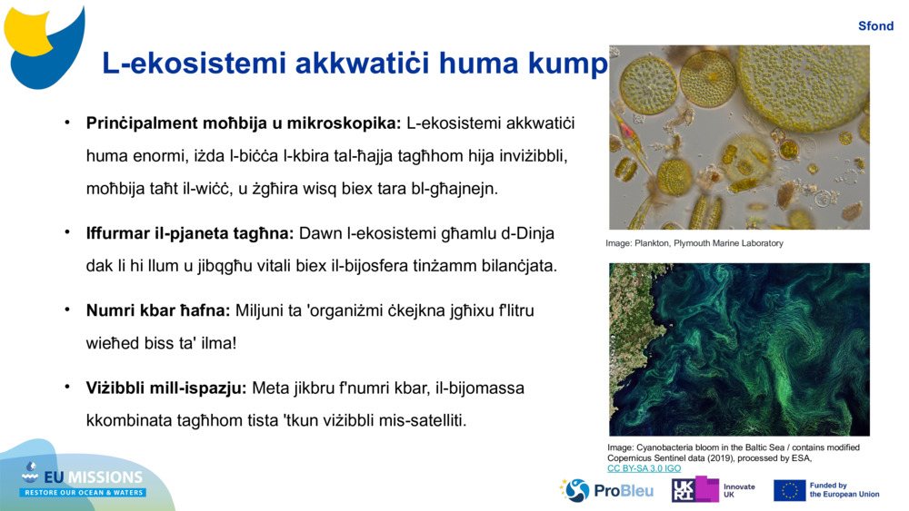 L-ekosistemi akkwatiċi huma kumplessi